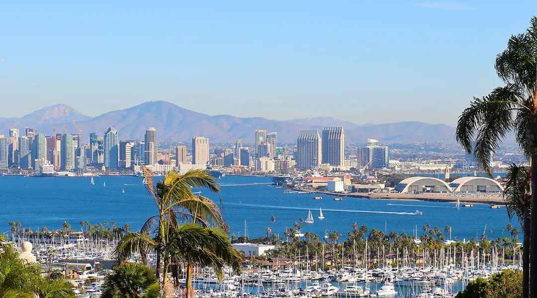 San Diego skyline and waterfront with marina and palm trees under a clear blue sky.
